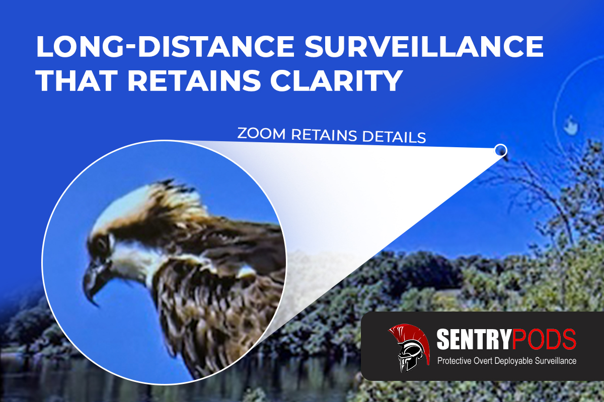 long range surveillance ptz