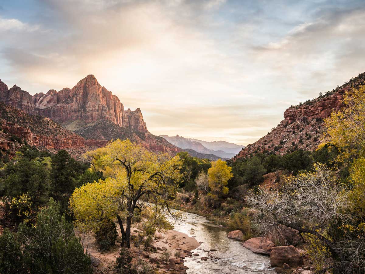zion national park surveillance